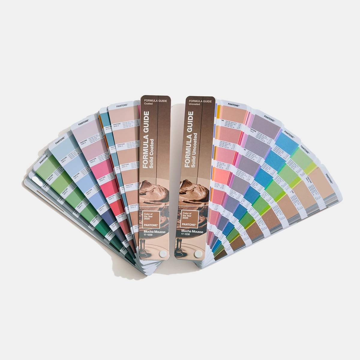 PANTONE FORMULA GUIDE, LIMITED EDITION COLOR OF THE YEAR 2025