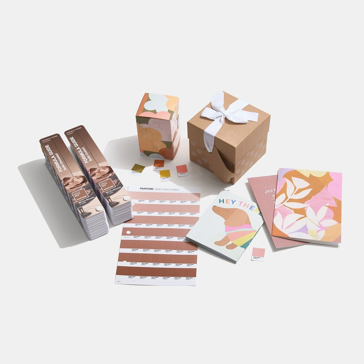 PANTONE FORMULA GUIDE, LIMITED EDITION COLOR OF THE YEAR 2025