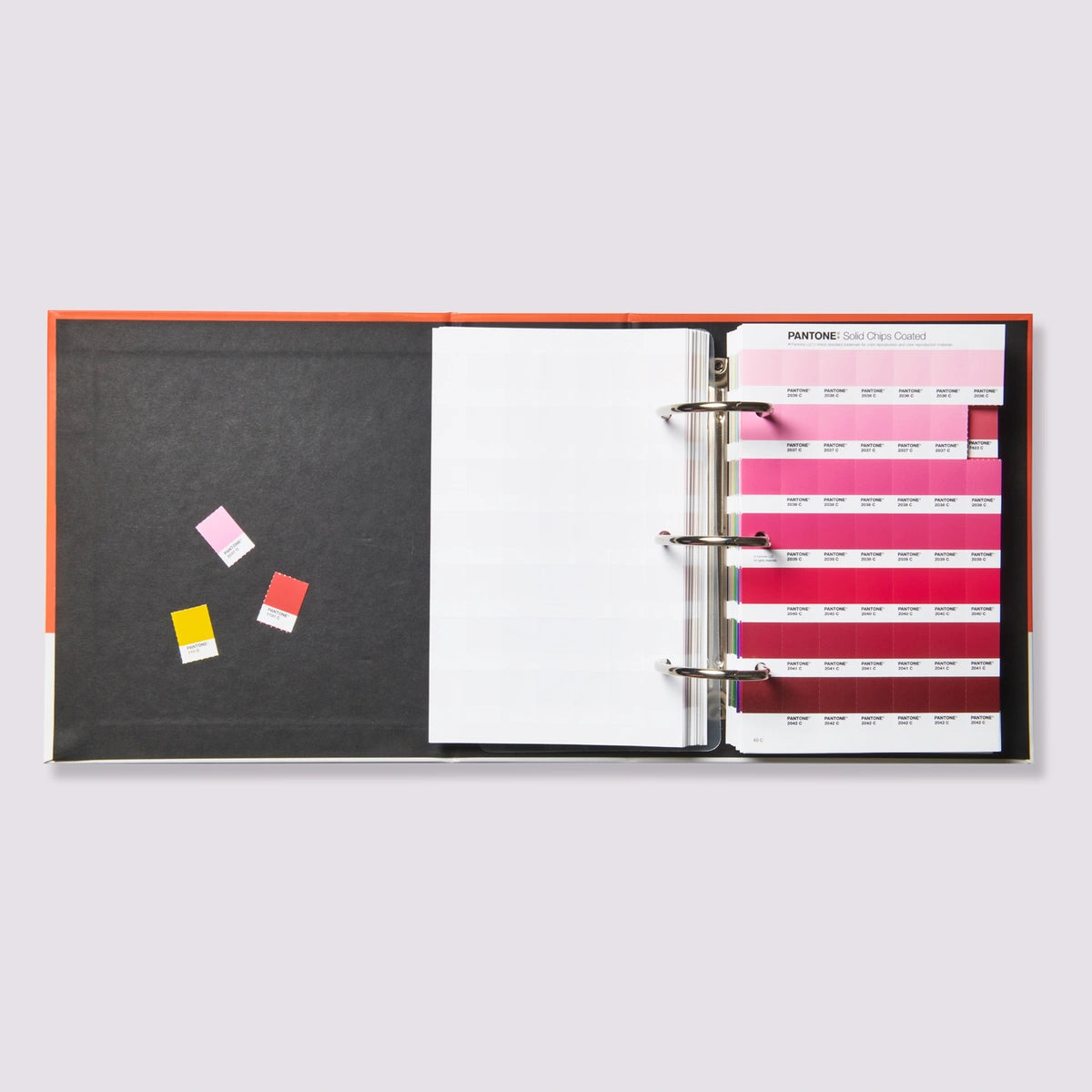 PANTONE SOLID CHIPS | COATED & UNCOATED