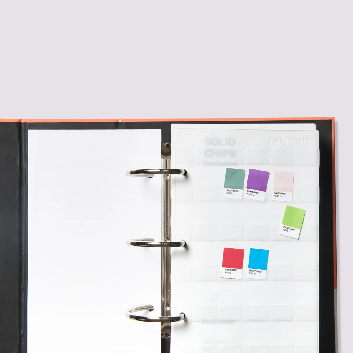 PANTONE SOLID CHIPS | COATED & UNCOATED