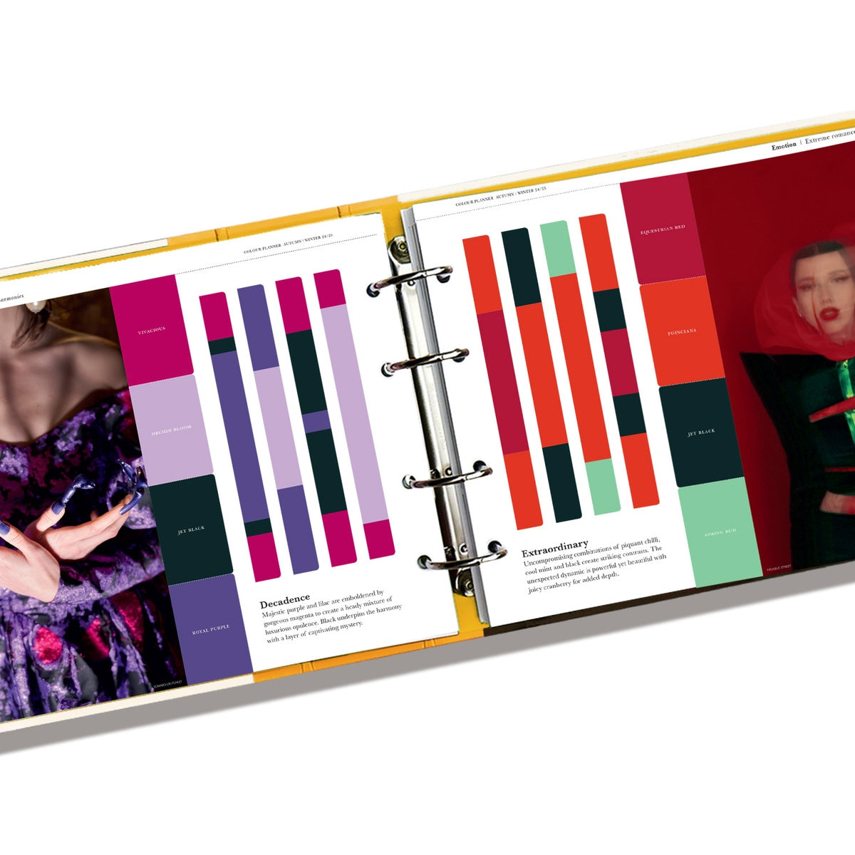 PANTONEVIEW COLOUR PLANNER AUTUMN/WINTER 2024/25
