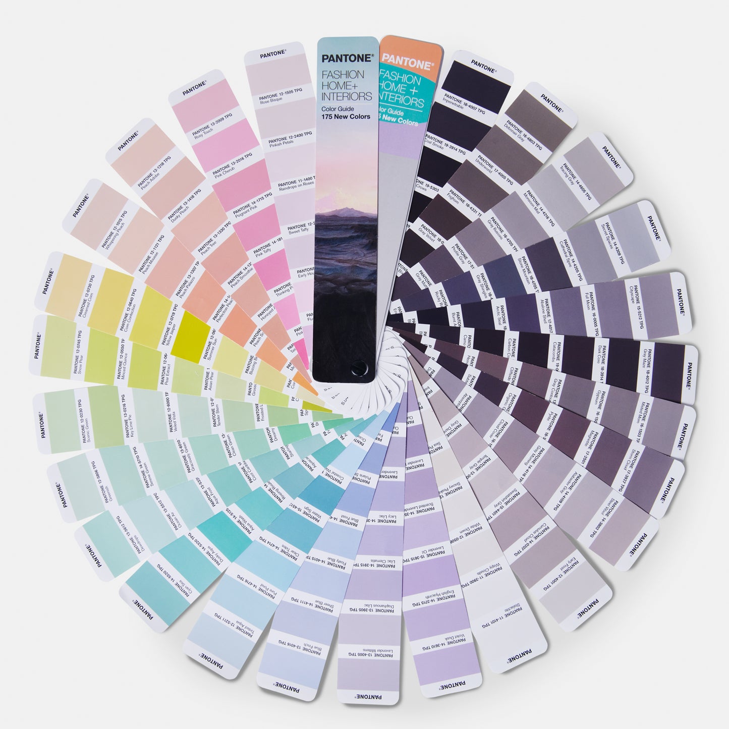 PANTONE FASHION, HOME + INTERIORS COLOR GUIDE DUALITIES