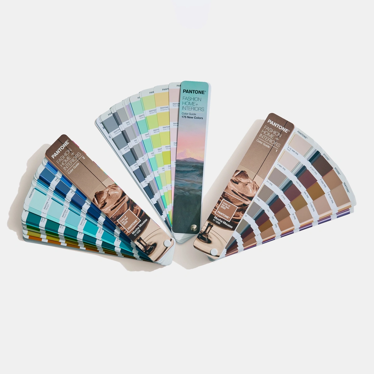 PANTONE FHI COLOR GUIDE, LIMITED EDITION COLOR OF THE YEAR 2025