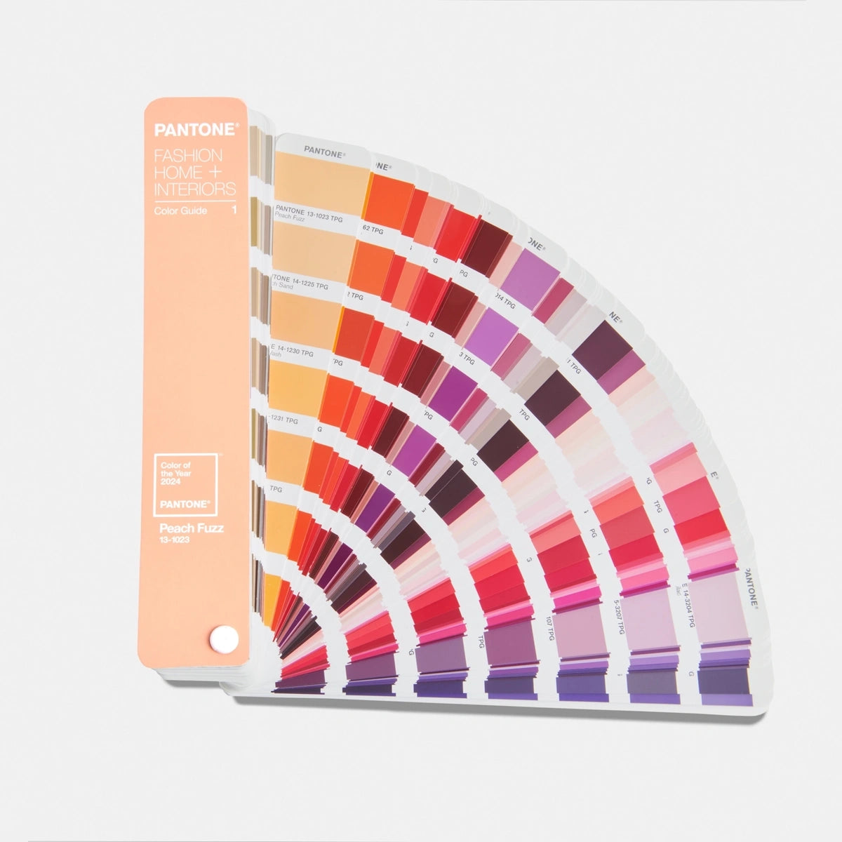 FHI COLOR GUIDE, LIMITED EDITION COLOR OF THE YEAR 2024