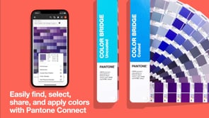PANTONE COLOR BRIDGE GUIDE SET | COATED & UNCOATED