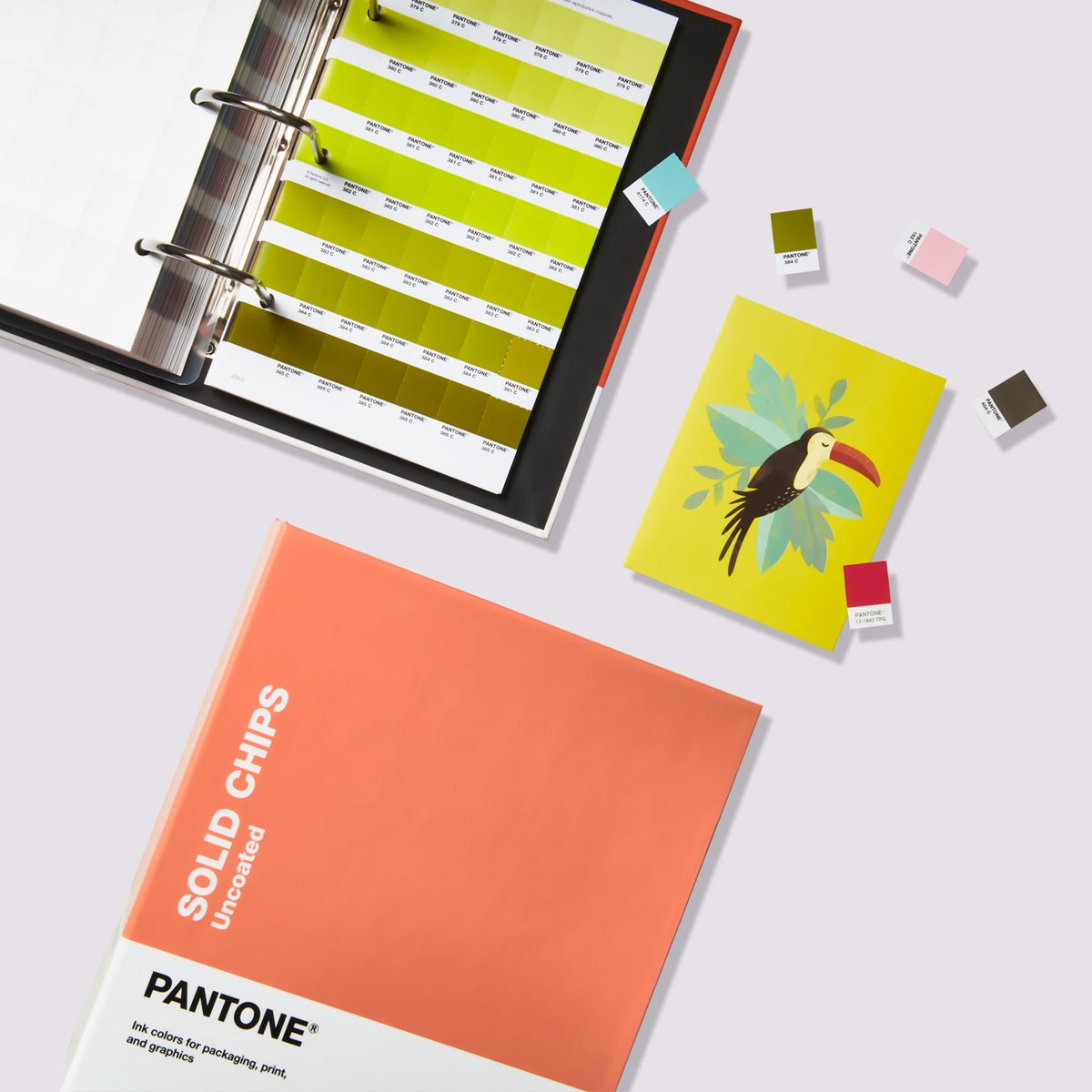 PANTONE SOLID CHIPS | COATED & UNCOATED